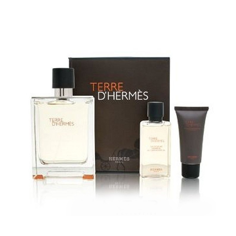 Hermes Terre D`Hermes / набор (edt 100ml+edt 12ml+a/sh balm 40ml) для мужчин