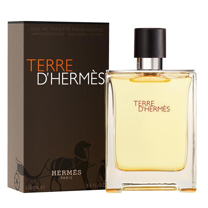 Hermes Terre D`Hermes / туалетная вода 100ml для мужчин