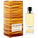 Angel Schlesser Ambre Frais / туалетная вода 100ml для мужчин