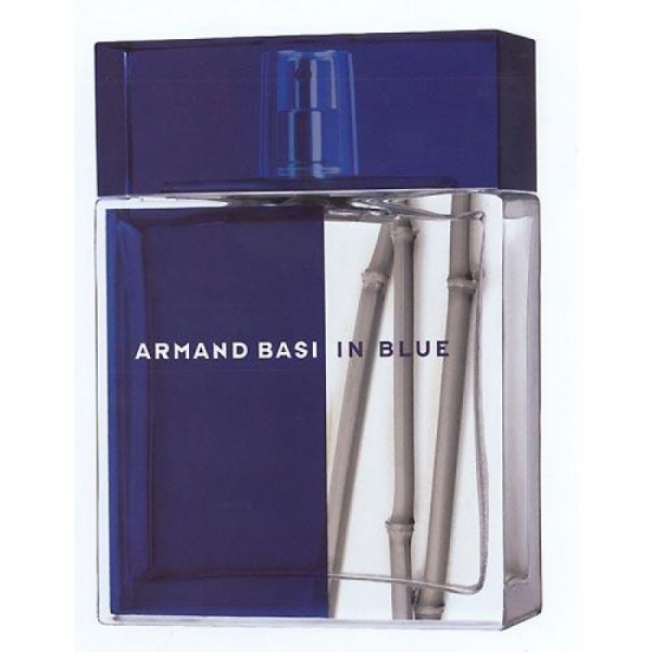 Armand Basi In Blue — туалетная вода 100ml для мужчин ТЕСТЕР
